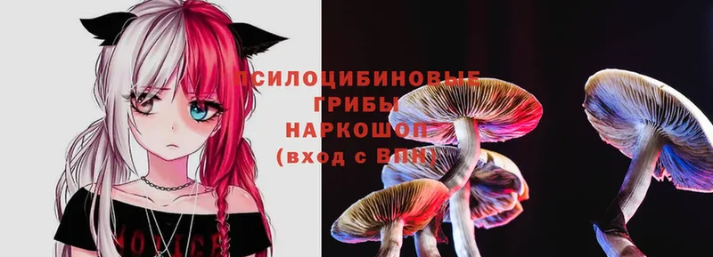 Галлюциногенные грибы Psilocybe  omg ссылка  Ступино 